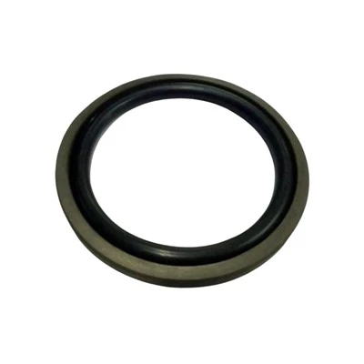 PTFE Glyd pistonli muhr
